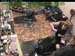 wbc17_123