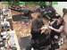 wbc17_124