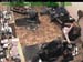 wbc17_126