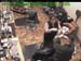 wbc17_129