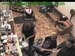 wbc17_138
