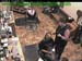 wbc17_151