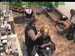 wbc17_159