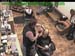 wbc17_165