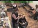 wbc17_167