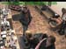 wbc17_172