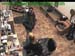 wbc17_175