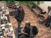 wbc17_176