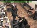 wbc17_177