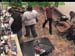 wbc18_001