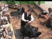 wbc18_027