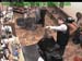 wbc18_038