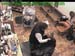 wbc18_041