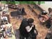 wbc18_047