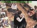 wbc18_051