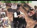 wbc18_052