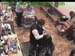 wbc18_053