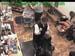 wbc18_056