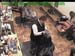 wbc18_058