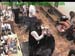 wbc18_065
