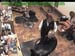 wbc18_081