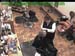wbc18_086
