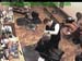 wbc18_093