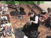 wbc18_096