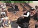 wbc18_099