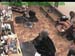 wbc18_104