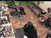 wbc18_105