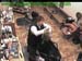 wbc18_109
