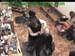 wbc18_117