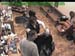 wbc18_118