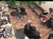 wbc18_127