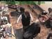 wbc18_128