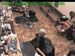 wbc18_129