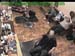 wbc18_130
