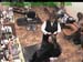 wbc18_133