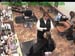 wbc18_134