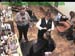 wbc18_136