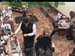 wbc18_174