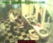 wbc21_059